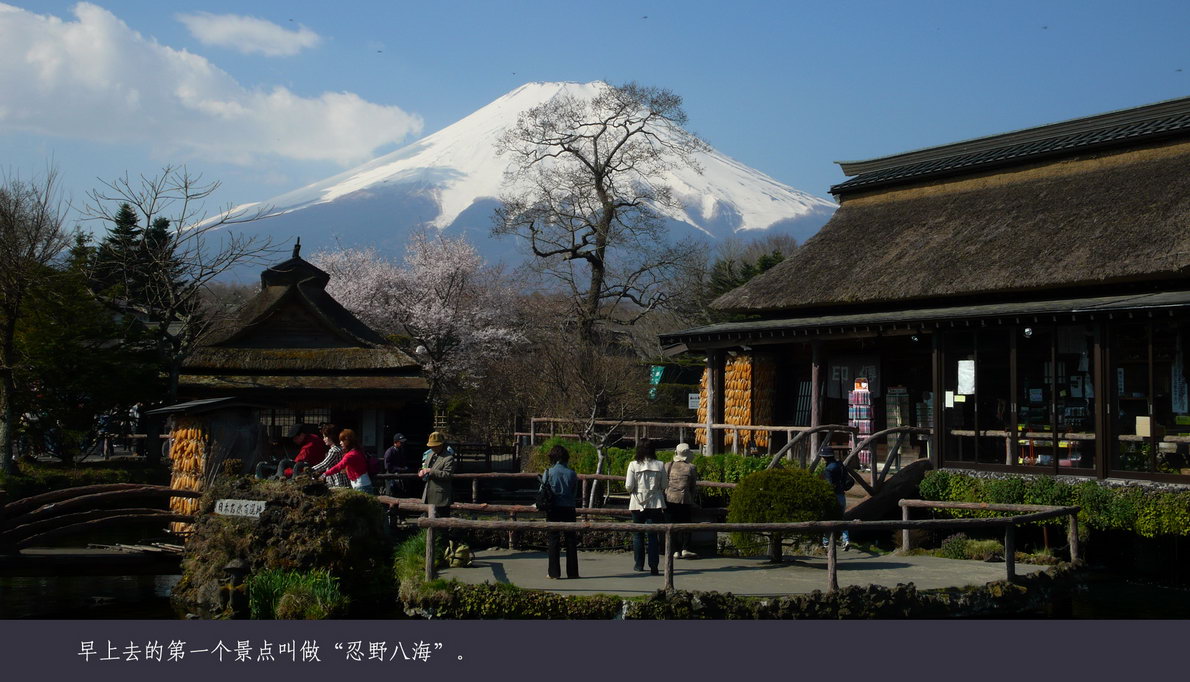 日本观樱游（105）