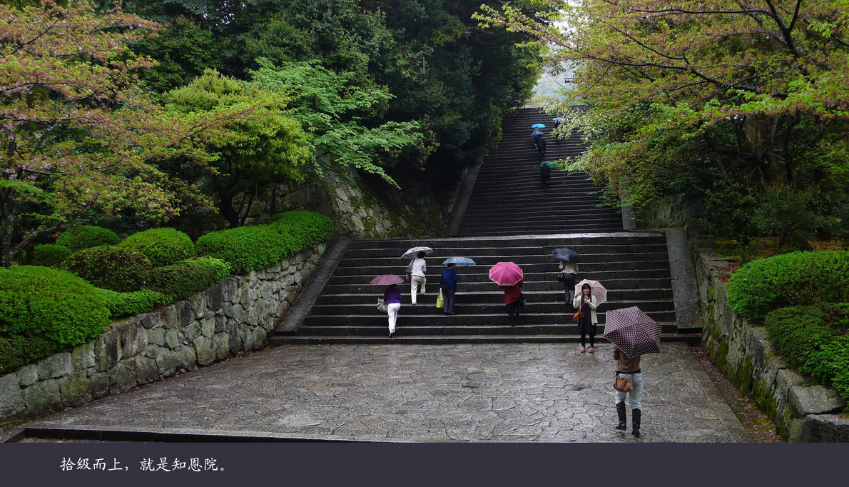 日本观樱游（169）