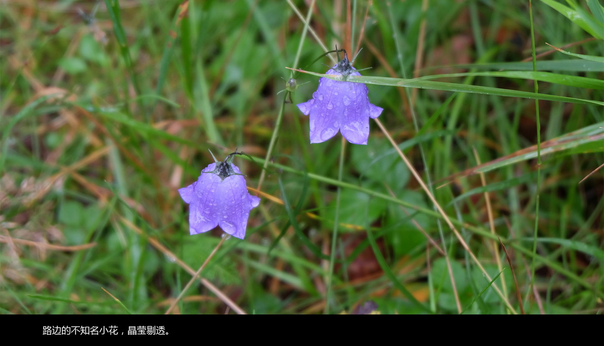 北欧邮轮游（445）